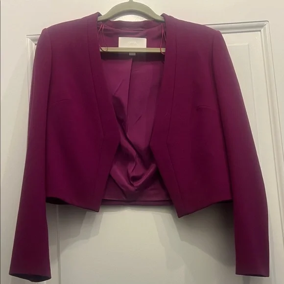 Hugo Boss Magenta Women's Blazer - Picture 1 of 2